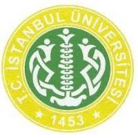 Istanbul University Logo